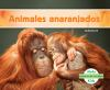 Animales_anaranjados