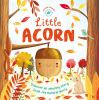 Little_Acorn