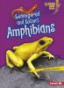Endangered_and_extinct_amphibians