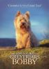 The_adventures_of_Greyfriars_Bobby