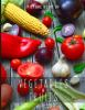 Picture_book_of_vegetables___fruits