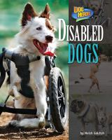 Disabled_Dogs