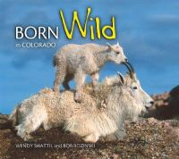 Born_wild_in_Colorado