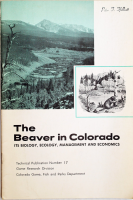 The_beaver_in_Colorado