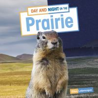 Day_and_Night_on_the_Prairie