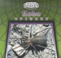Hobo_spiders
